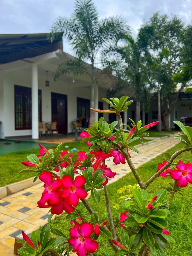 Sigiriya Green Garden Homestay 외부 사진